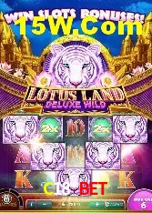 Experiência VIP C18 Bet